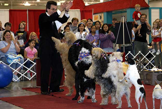 Queen City Fair Attractions