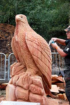 Queen City Fair Attractions